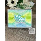 CZ Design Just Sayin Bundle set1126js DieCember Just Sayin Card