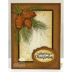 Karen Burniston Pine Cone Dies 1311 nature