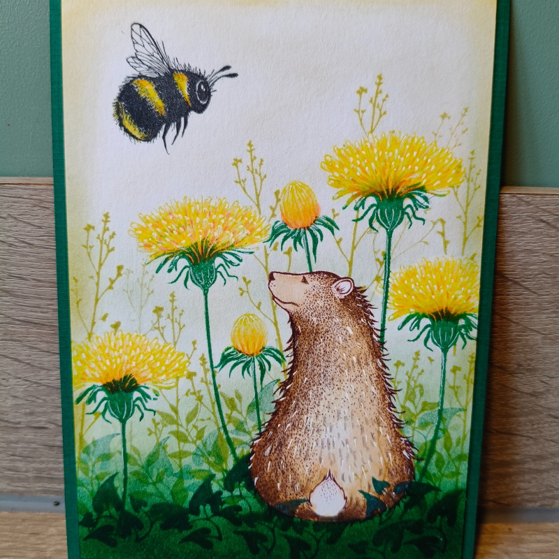 Lavinia Stamps Ashryn Clear Stamp lav1038 dandelions
