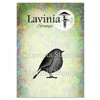 Lavinia Stamps Bobby Clear Stamp lav922