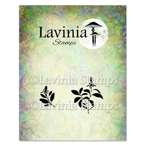 Lavinia Stamps Sage Clear Stamps lav949