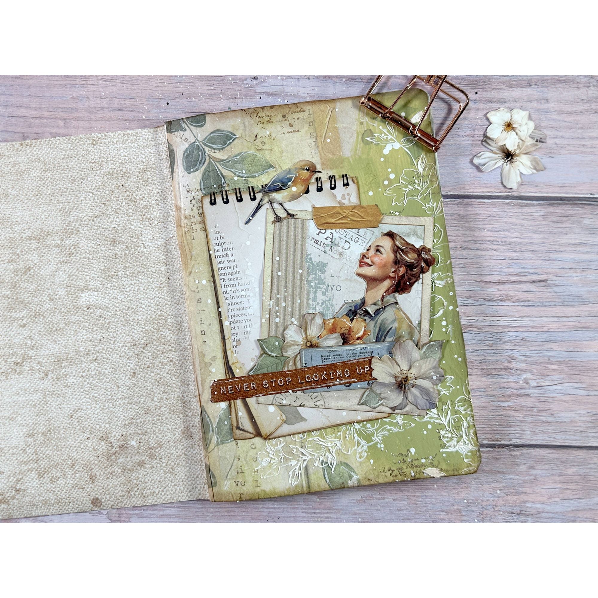Stamperia Create Happiness Secret Diary Selection 6 Rice Paper A4 dfsa4xsd bird
