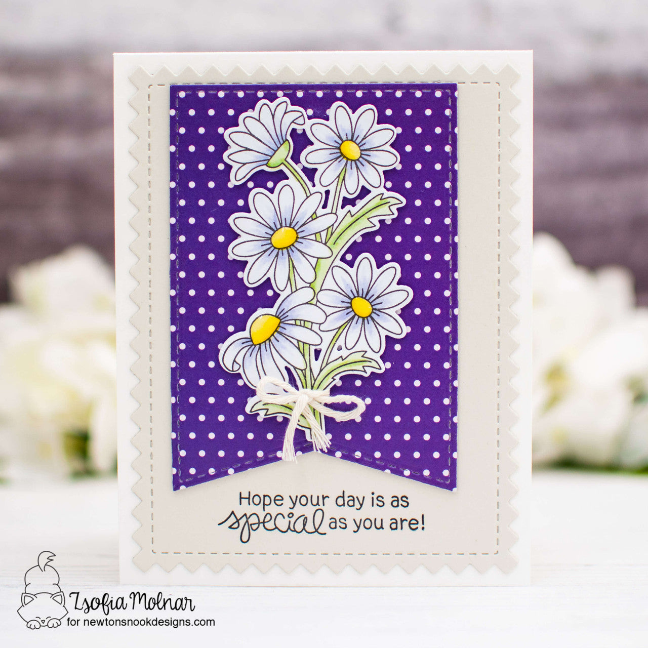 Newton's Nook Designs Basic Frames Dies nn2403d02* daisies
