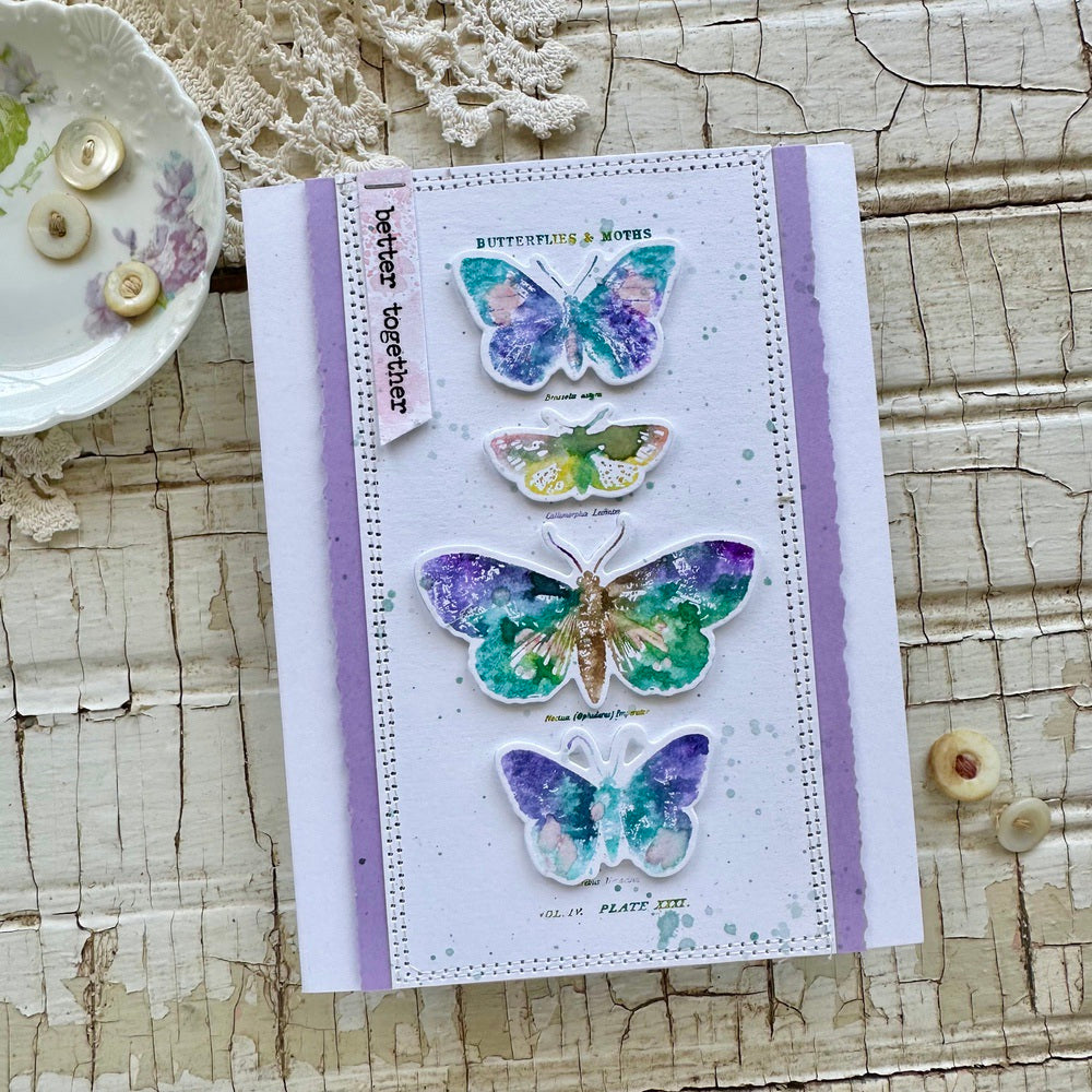 Simon Says Stamp Papillon Wafer Dies 106sss Better Together Card