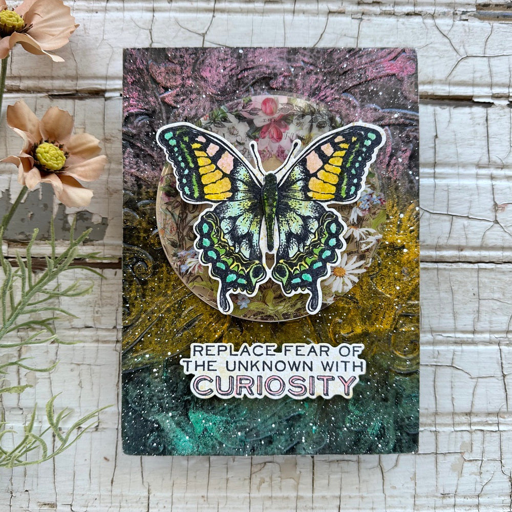 Simon Says Stamp Perspective Wafer Dies 213sss Curiosity Card | color-code:ALT03