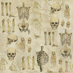 Tim Holtz Eclectic Elements Laboratory Fabric By The Yard Anatomy