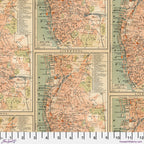Tim Holtz Fabric By The Yard Orange Map pwth233 Eclectic Elements Palette