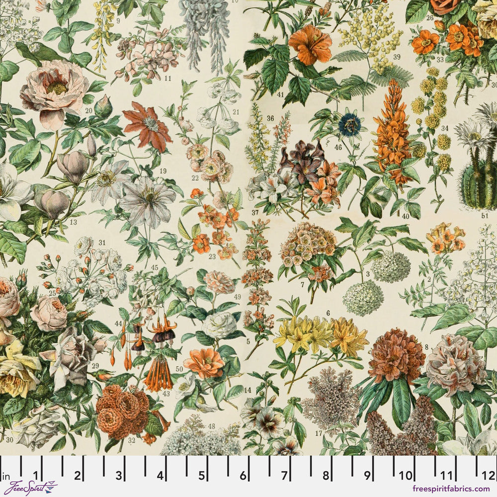 Tim Holtz Fabric By The Yard Orange Botanical pwth237 Eclectic Elements Palette