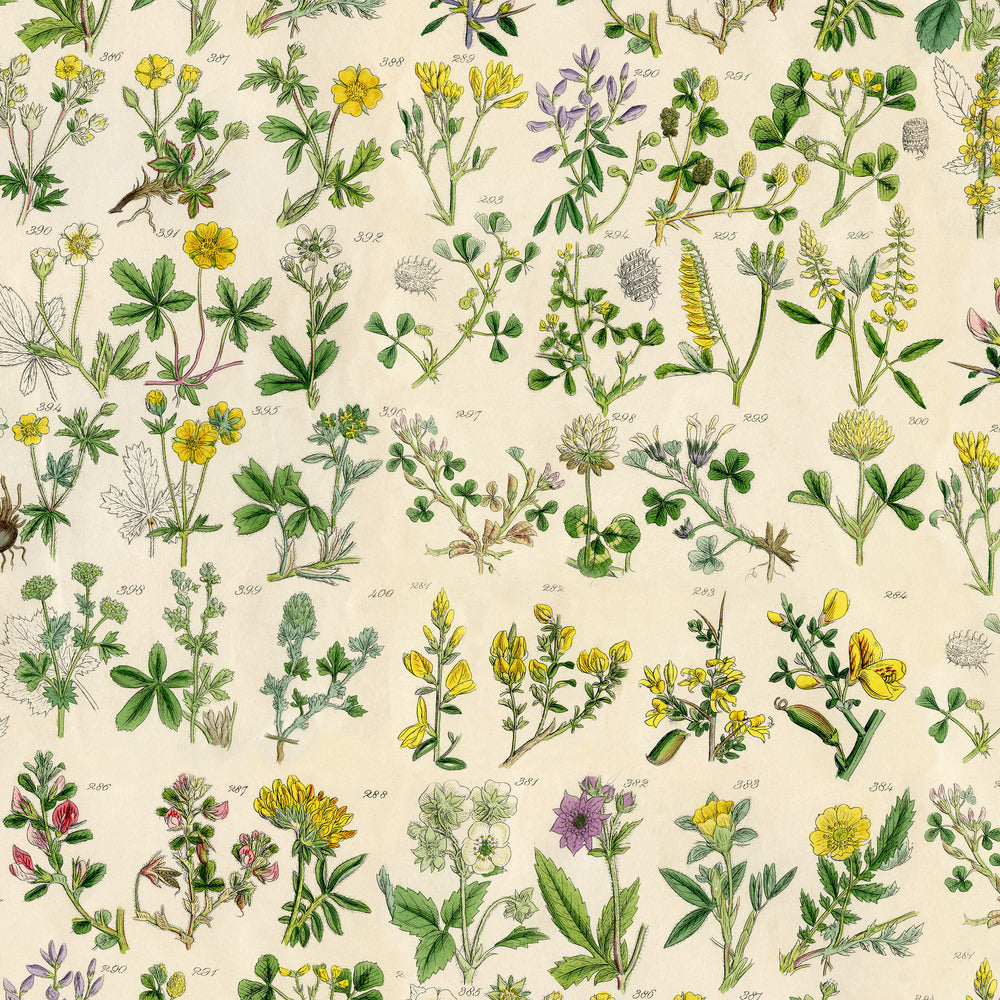 Tim Holtz Fabric Palette Yellow Bundle of 10 Fat Quarters