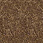 Tim Holtz Fabric Palette Neutral Bundle of 10 Fat Quarters