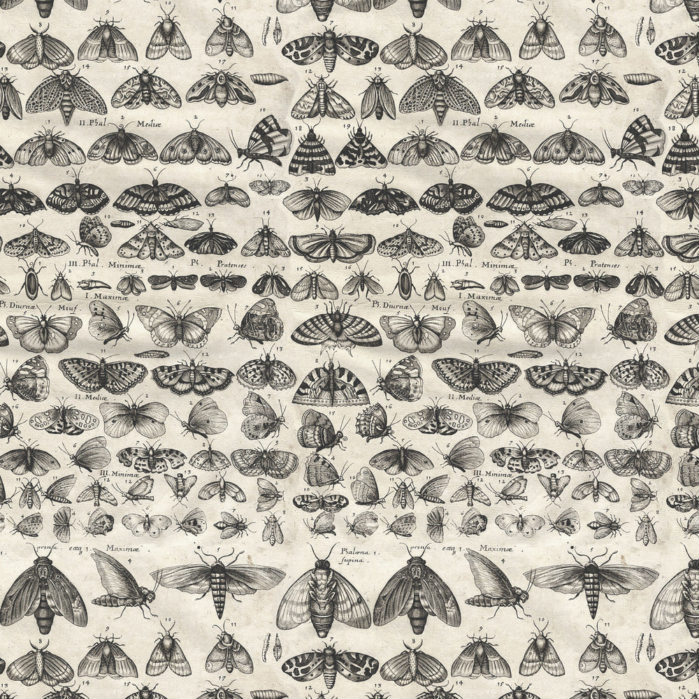 Tim Holtz Fabric By The Yard Charcoal Moths pwth315 Eclectic Elements Palette