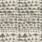 Tim Holtz Fabric By The Yard Charcoal Moths pwth315 Eclectic Elements Palette
