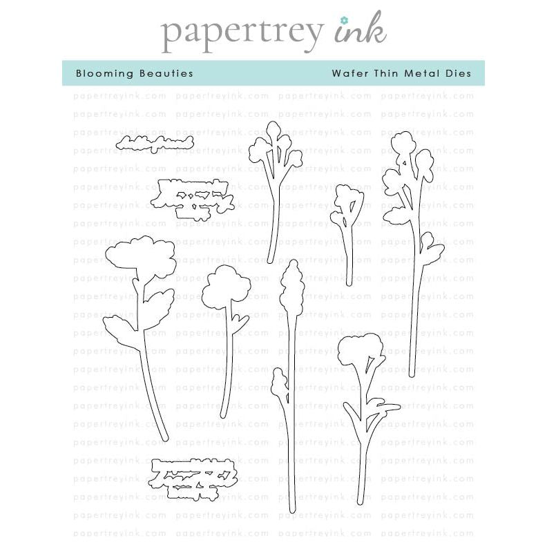 Papertrey Ink Blooming Beauties Dies pti-0901