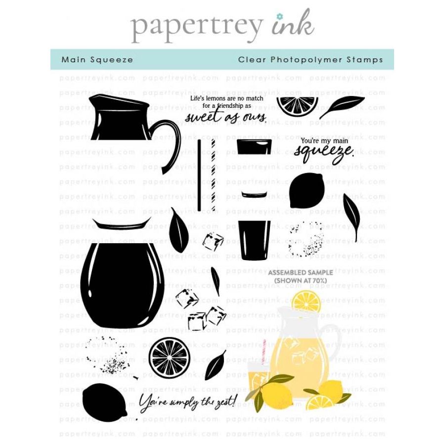 Papertrey Ink Main Squeeze Clear Stamp and Die Set product image 1