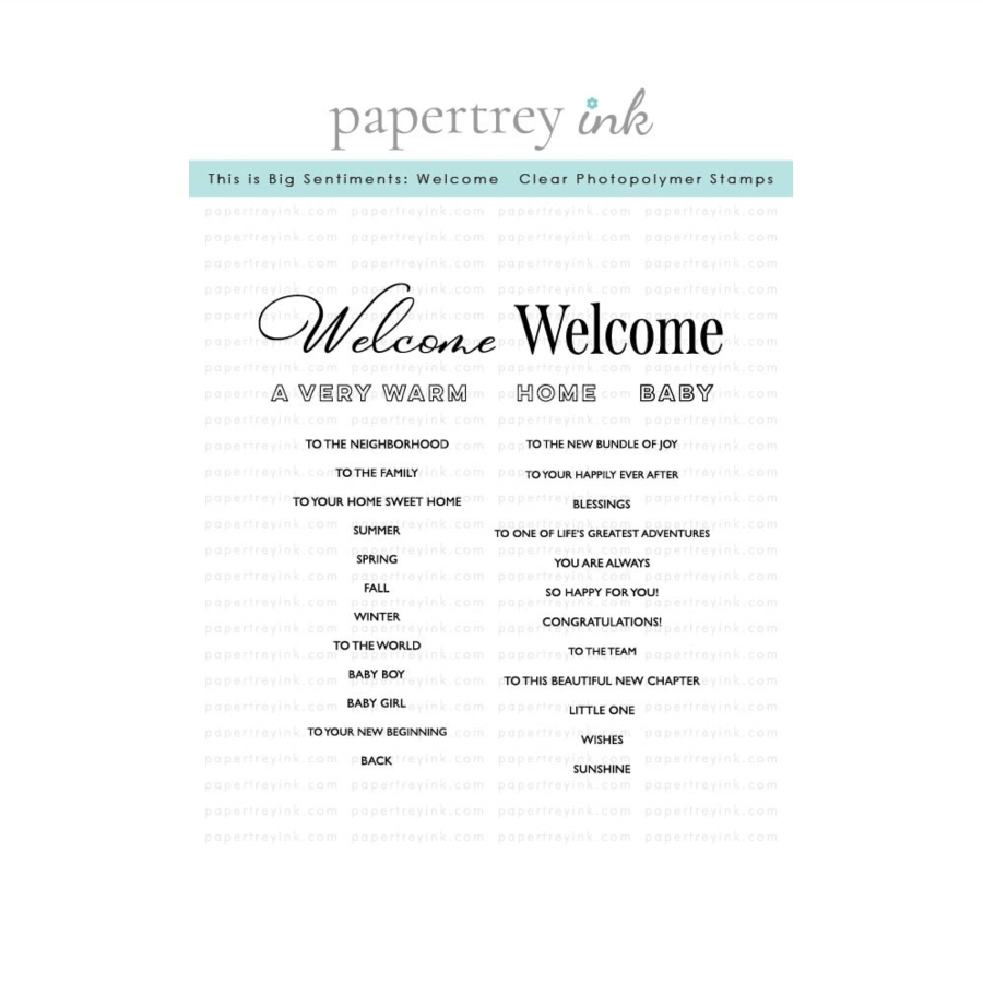 Papertrey Ink This is Big Sentiments Welcome Clear Stamps 1707