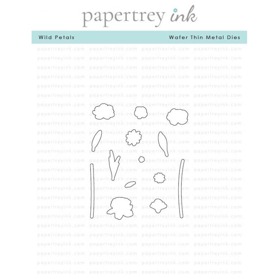 Papertrey Ink Wild Petals Dies pti-0938