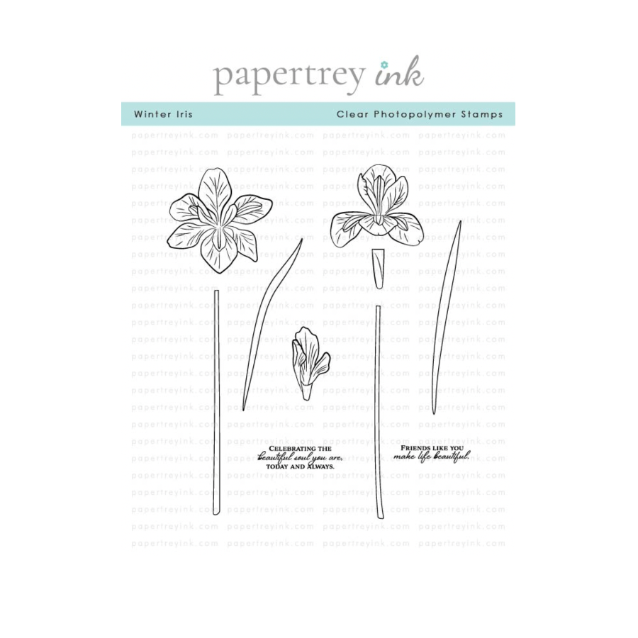 Papertrey Ink Winter Iris Clear Stamps 1671