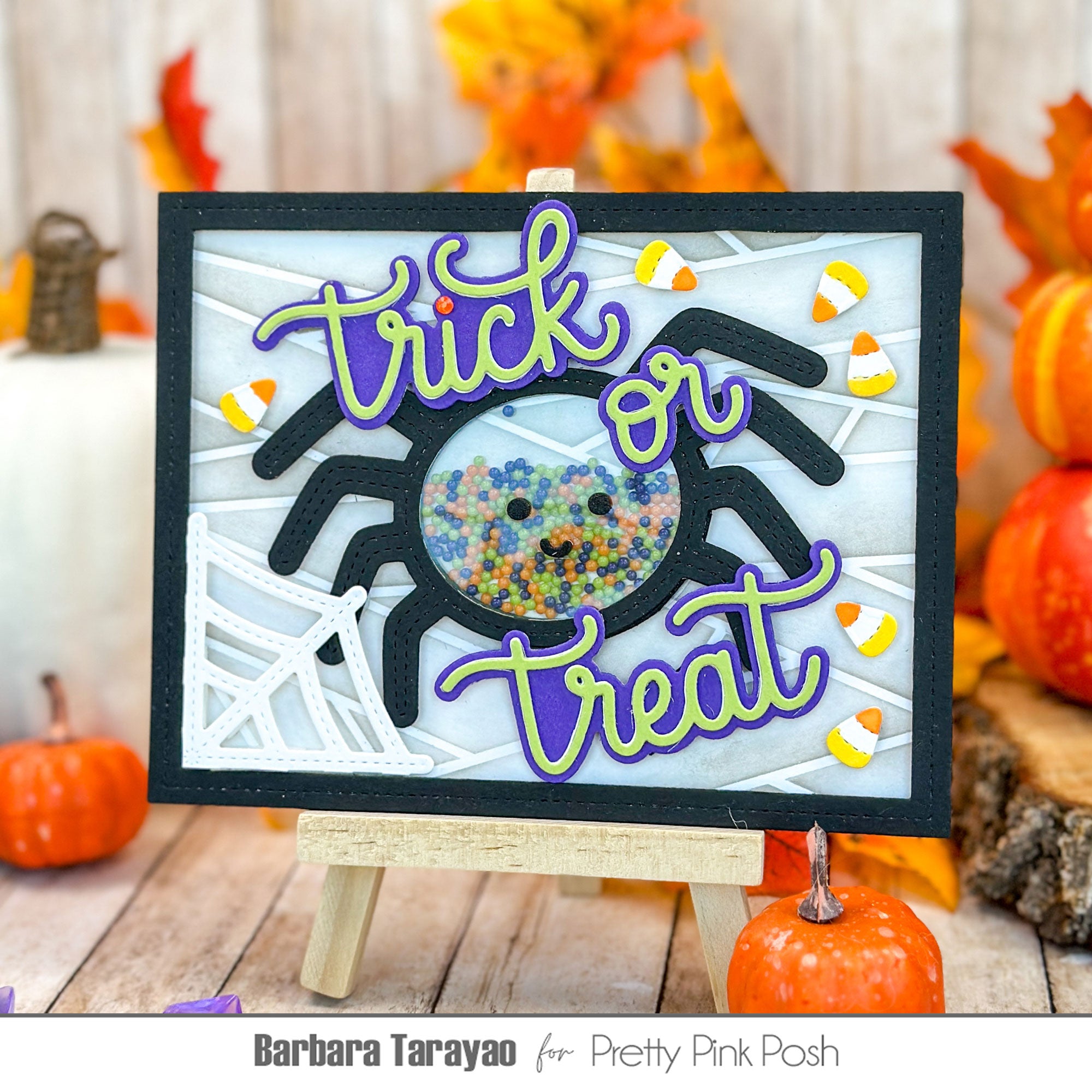 Pretty Pink Posh Spider Shaker Dies treats