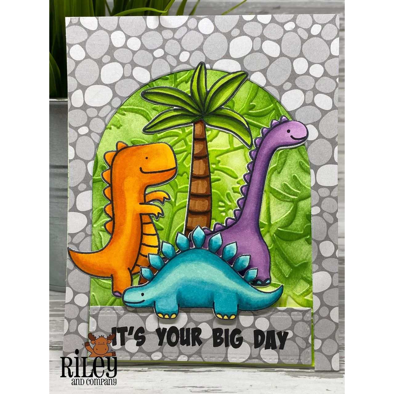 Riley And Company Dinosaur Dies amd102 rocks
