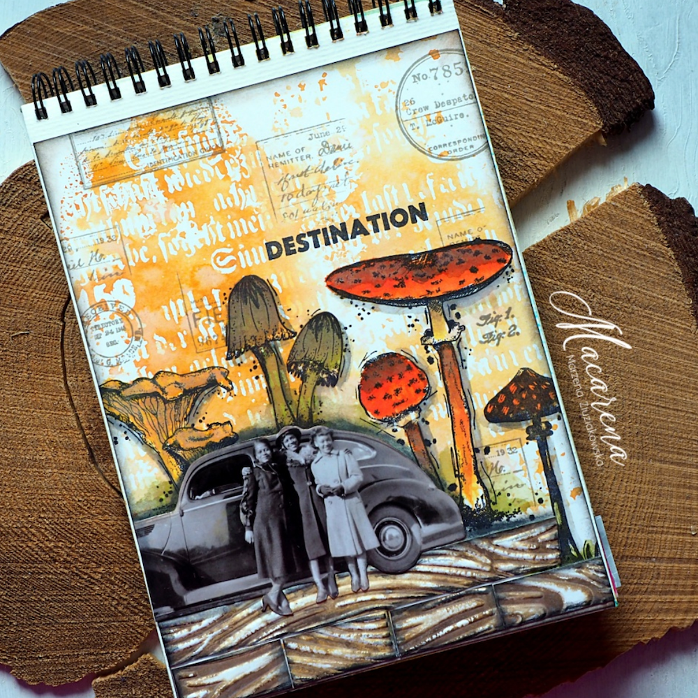 Tim Holtz Idea-ology Snapshots Volume 2 th94322 Color the world | color-code:ALT02