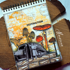 Tim Holtz Idea-ology Snapshots Volume 2 th94322 Color the world | color-code:ALT02