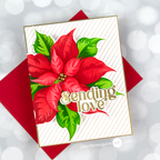Alex Syberia Designs Festive Poinsettia Stencil Set asdste73 Love | color-code:ALT01