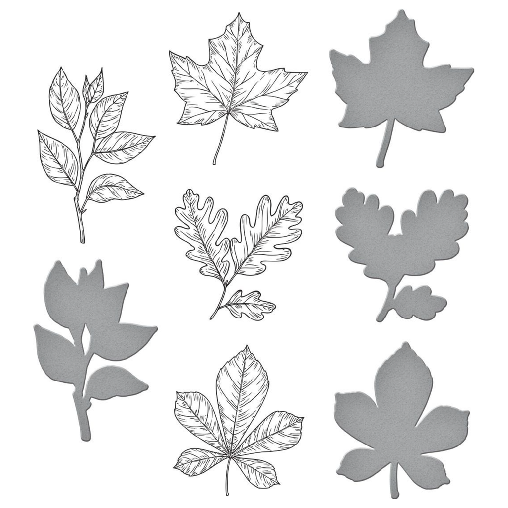BP-082 Spellbinders Autumn Leaves Press Plate and Die Set