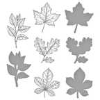 BP-082 Spellbinders Autumn Leaves Press Plate and Die Set