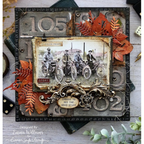 Tim Holtz Idea-ology SNAPSHOTS th94234 story | color-code:ALT03