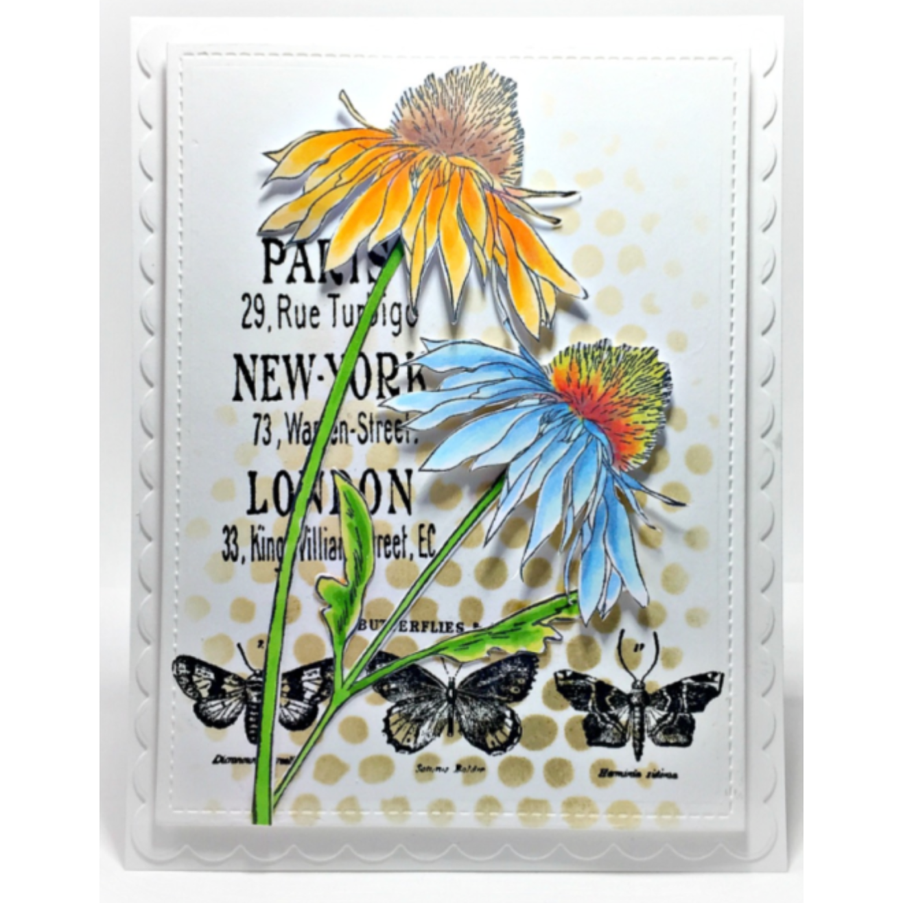 Tim Holtz Clear Stamps and Stencil Flower Garden, Bubbles and Gingham thmm124