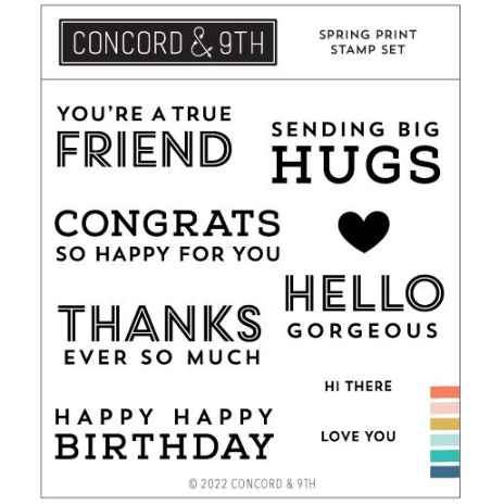 Concord & 9th Spring Print Sentiments Clear Stamp Set 12123