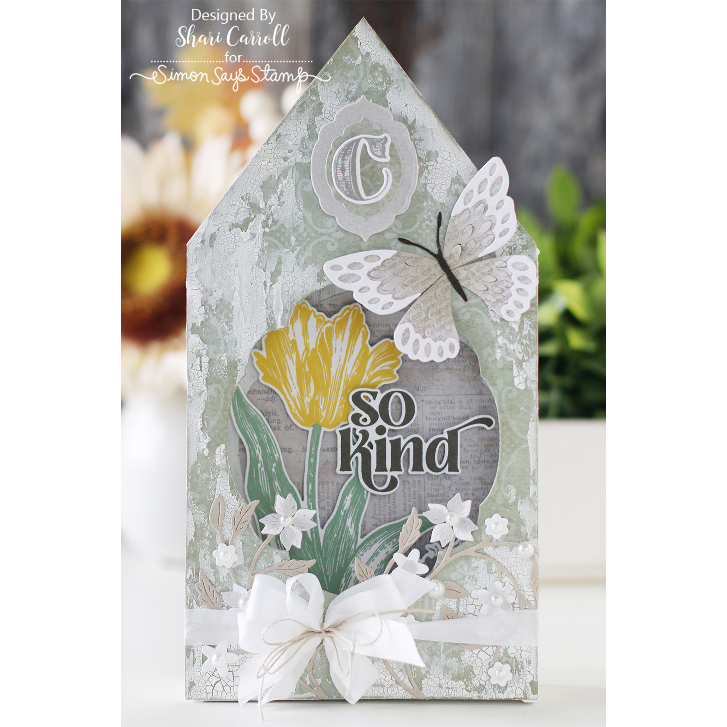 Simon Says Stamp Exquisite Butterfly Wafer Dies s999 You Are My Favorite So Kind Shadow Box | color-code:ALT09