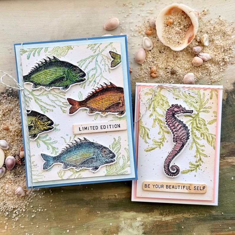 Simon Says Stamp Sea Life Wafer Dies 304sss Under the Sea Cards Paula Cheney