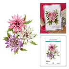 Spellbinders Astrantia Etched Dies s5-711