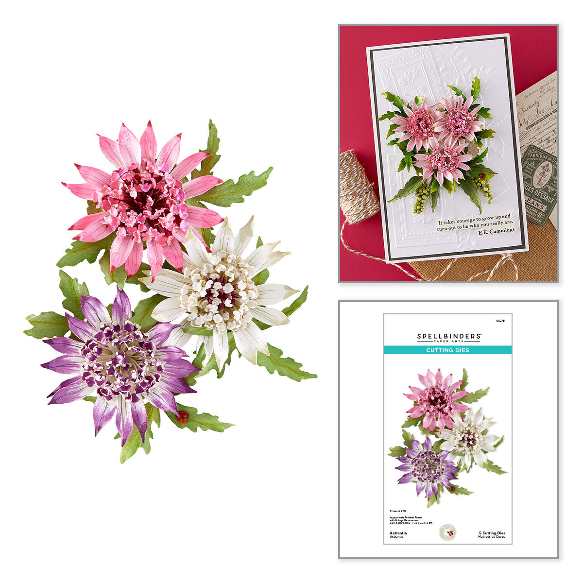 Spellbinders Astrantia Etched Dies s5-711