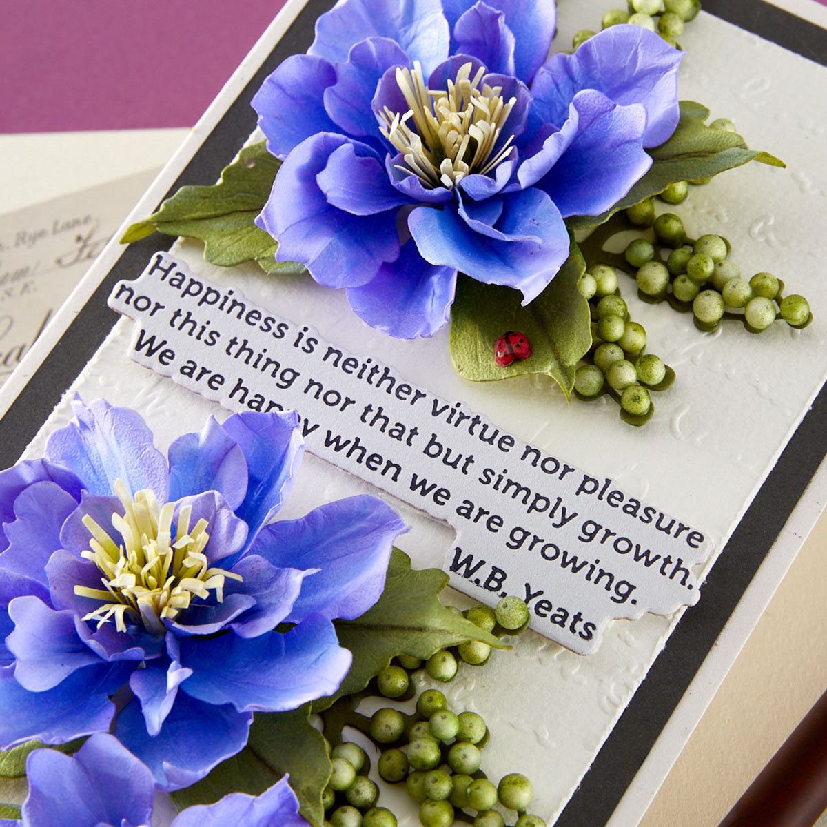 Spellbinders The Poet's Garden Sentiments Press and Foil Plate and Die Set bp-325 happiness
