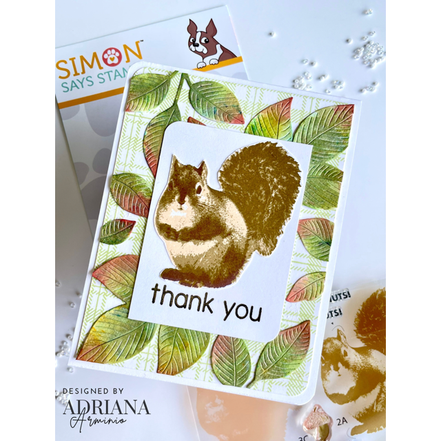 Simon Says Stamp Squirrely Birthday Wafer Dies 1261sdc STAMPtember Thank You Card