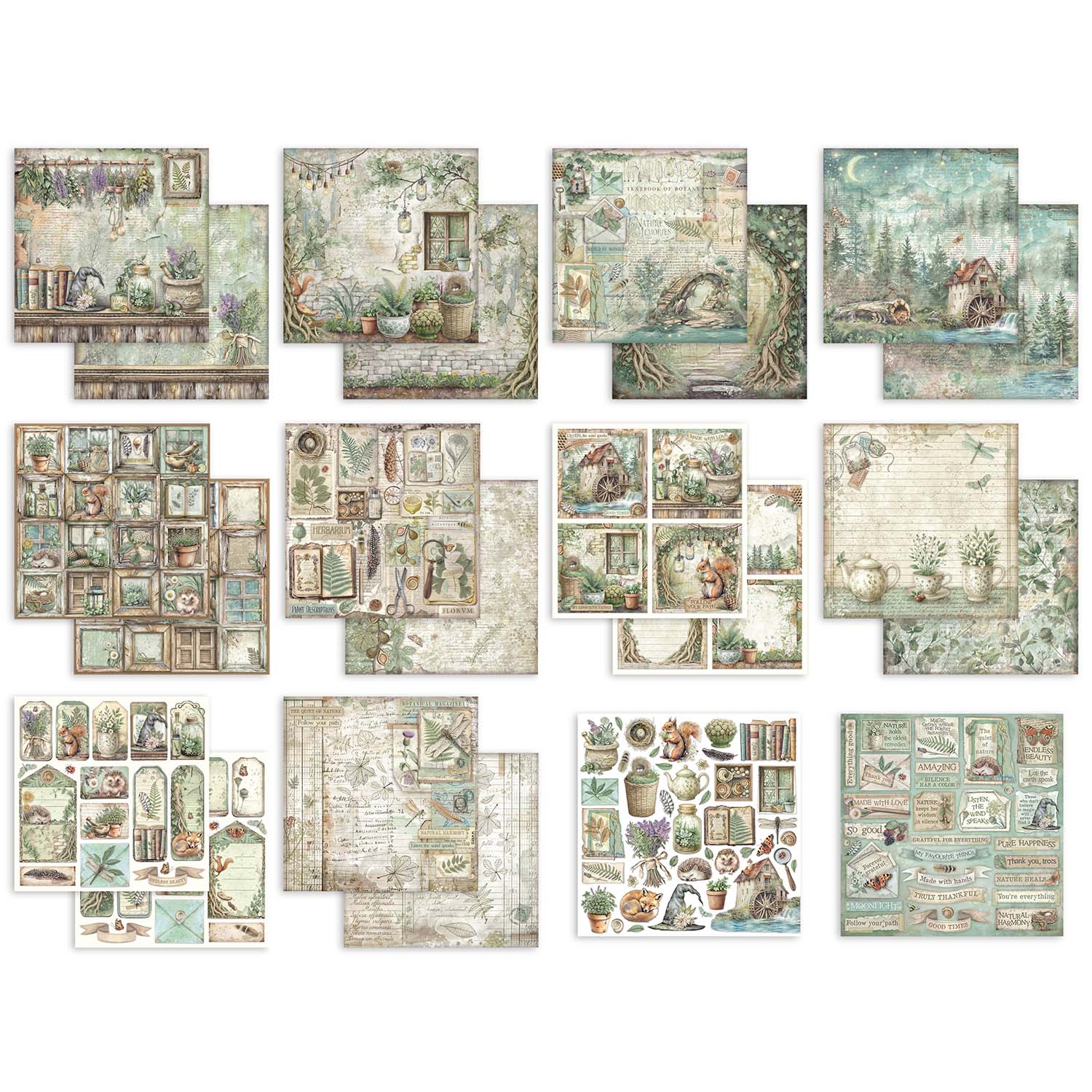 Stamperia Herbarium Silvae 12x12 Paper sbbl179 pages