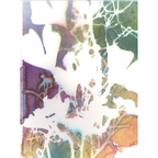 StencilGirl Daniels Ginkgo Stencil ll1093 background