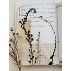 StencilGirl Whispering Grasses Stencil ll1067 branch