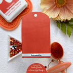 Simon Says Stamp Pawsitively Saturated Ink Pad Terracotta ssk071 Be Bold