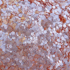Trinity Stamps Papaya Sparkle Spots Embellishment Mix emb-0463 product