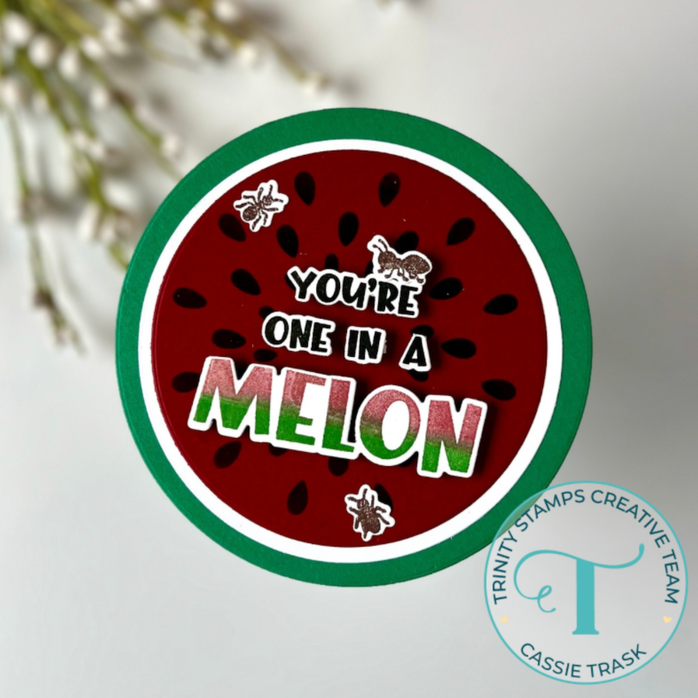 Trinity Stamps Watermelon Circle Stencil 260617-tss ant