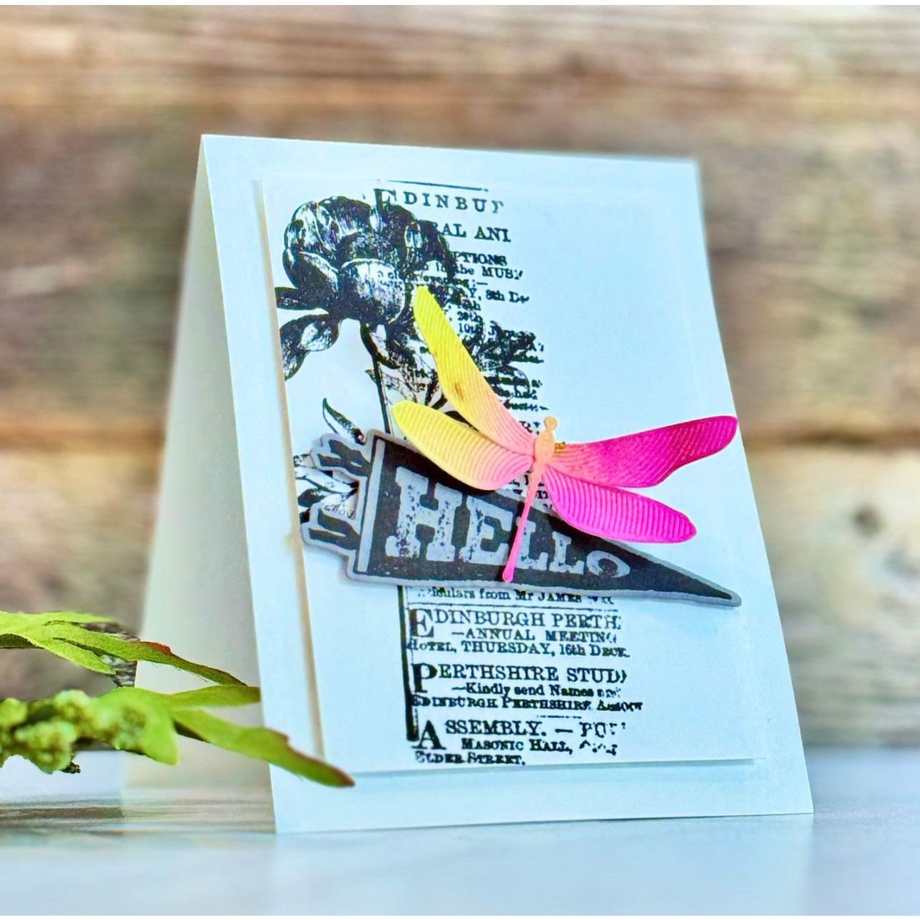 Simon Says Stamp Whirl Dragonfly Wafer Dies s907 Be Bold Hello Card