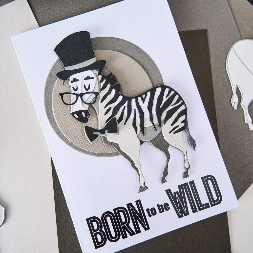 Tim Holtz Sizzix Winifred Mini Colorize Thinlits Dies 667218 born to be wild