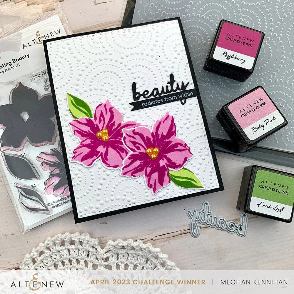 Altenew Mini Delight Radiating Beauty Stamp and Die Set alt8084bn raised background