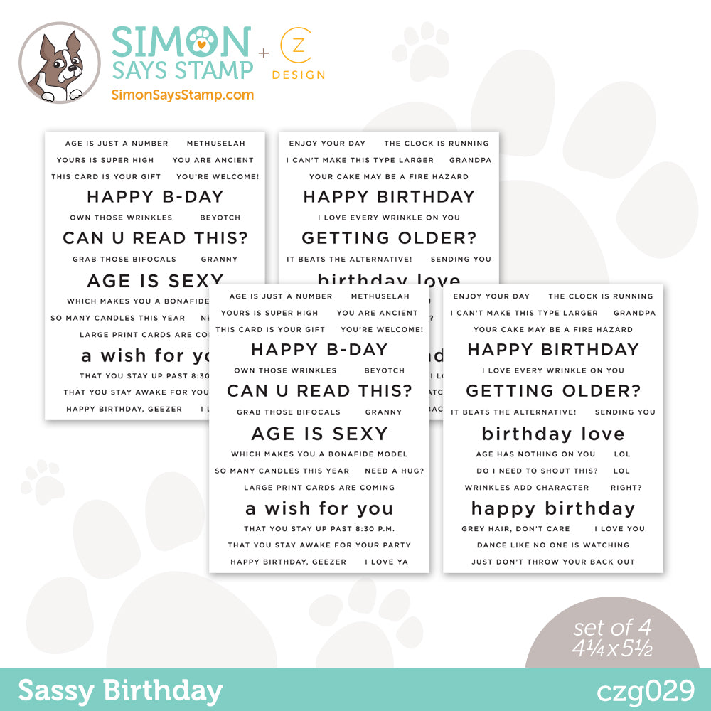 CZ Design Sentiment Strips SASSY BIRTHDAY czg029