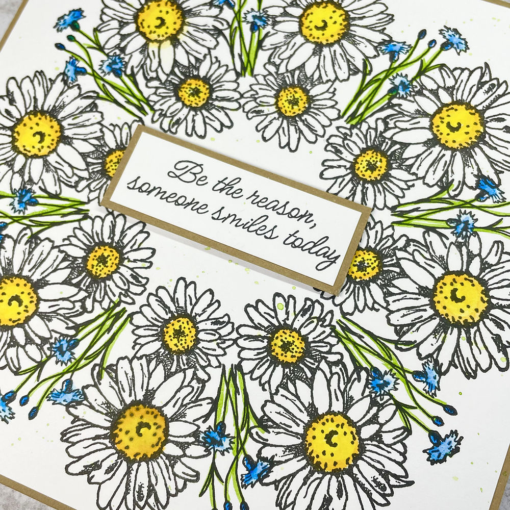 Julie Hickey Designs Peter's Marguerites Clear Stamps ds-pt-1056 smile