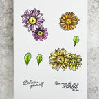 Julie Hickey Designs Peter's Marguerites Clear Stamps ds-pt-1056 believe