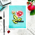 Tim Holtz Distress Speckled Egg Oxide Ink Pad And Reinker Bundle Ranger Rose Snowglobe Card | color-code:ALT01